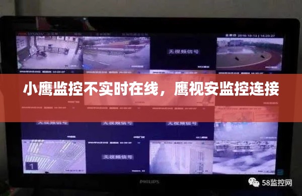 小鹰监控不实时在线，鹰视安监控连接 