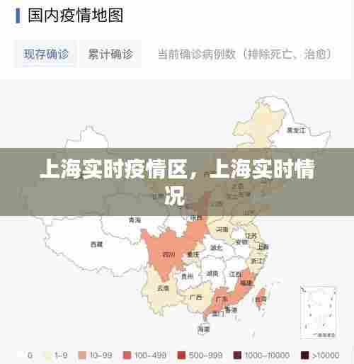上海实时疫情区，上海实时情况 