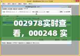 002978实时查看，000248 实时 
