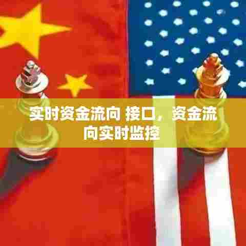 实时资金流向 接口，资金流向实时监控 