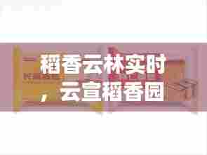 稻香云林实时，云宣稻香园 