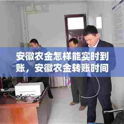 安徽农金怎样能实时到账，安徽农金转账时间规定 