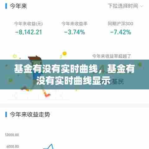 基金有没有实时曲线，基金有没有实时曲线显示 