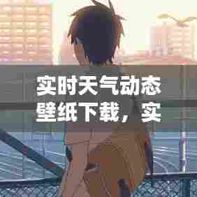 实时天气动态壁纸下载，实时天气动态壁纸下载安卓版 