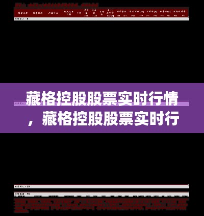 藏格控股股票实时行情，藏格控股股票实时行情分析 