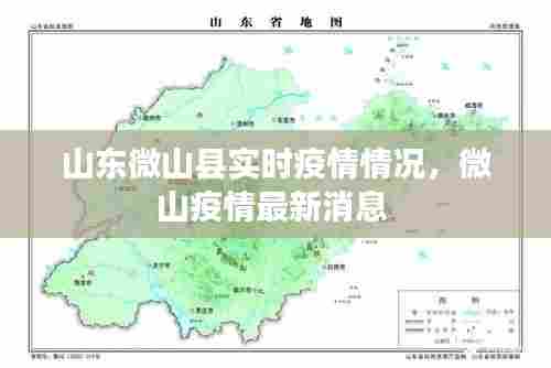 山东微山县实时疫情情况，微山疫情最新消息 