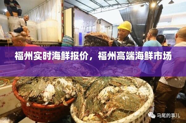福州实时海鲜报价，福州高端海鲜市场 