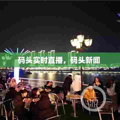码头实时直播，码头新闻 