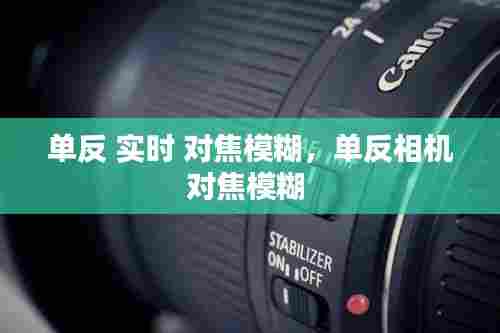单反 实时 对焦模糊，单反相机对焦模糊 