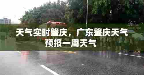 天气实时肇庆，广东肇庆天气预报一周天气 