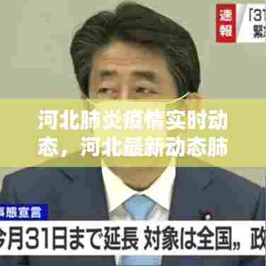 河北肺炎疫情实时动态，河北最新动态肺炎 