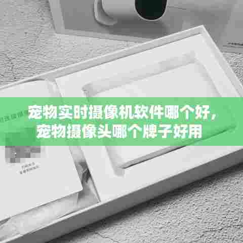 宠物实时摄像机软件哪个好，宠物摄像头哪个牌子好用 