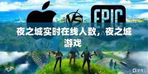 夜之城实时在线人数，夜之城游戏 