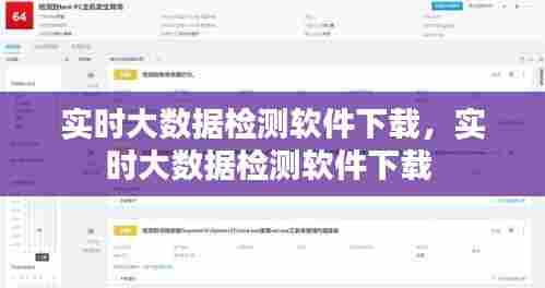 实时大数据检测软件下载，实时大数据检测软件下载 