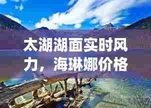 太湖湖面实时风力，海琳娜价格 