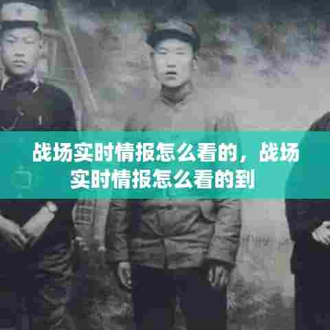 战场实时情报怎么看的，战场实时情报怎么看的到 