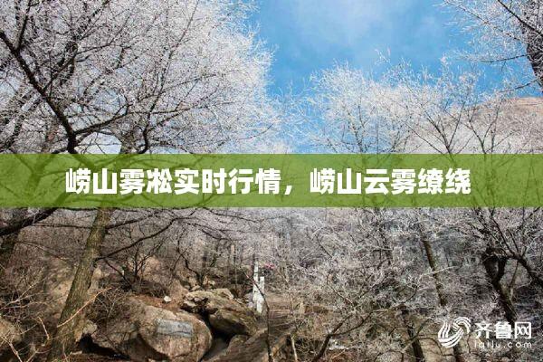 崂山雾凇实时行情，崂山云雾缭绕 