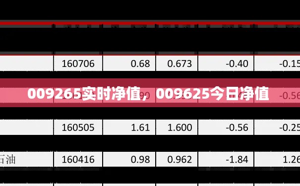 009265实时净值，009625今日净值 