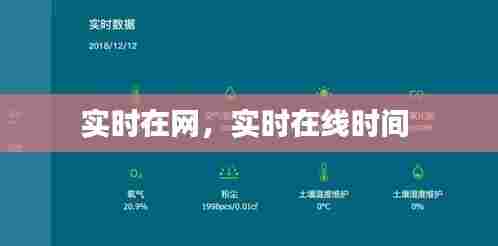 实时在网，实时在线时间 
