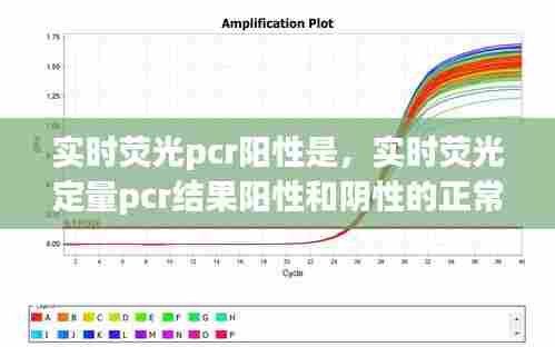 实时荧光pcr阳性是，实时荧光定量pcr结果阳性和阴性的正常值 