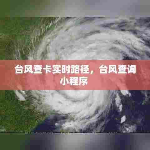 台风查卡实时路径，台风查询小程序 