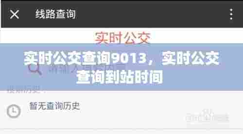 实时公交查询9013，实时公交查询到站时间 
