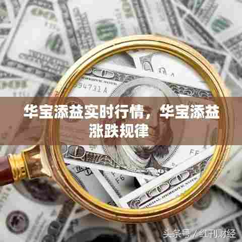 华宝添益实时行情，华宝添益涨跌规律 