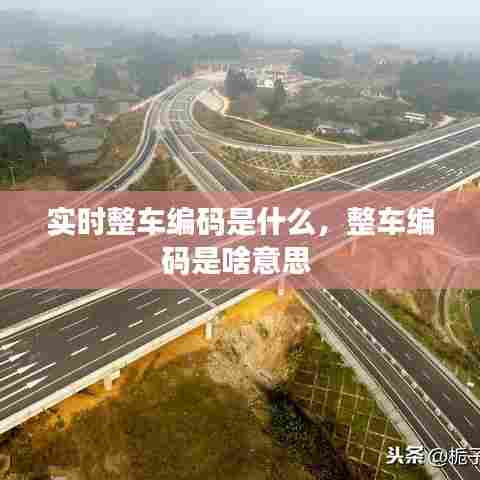 实时整车编码是什么，整车编码是啥意思 