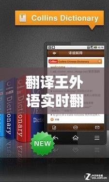 翻译王外语实时翻译，翻译王外语实时翻译软件 