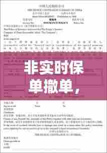 非实时保单撤单，非实时保单是什么意思 