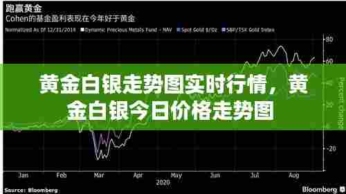 黄金白银走势图实时行情，黄金白银今日价格走势图 