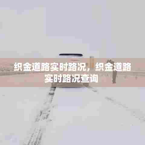 织金道路实时路况，织金道路实时路况查询 