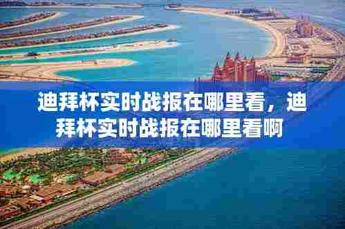 迪拜杯实时战报在哪里看，迪拜杯实时战报在哪里看啊 