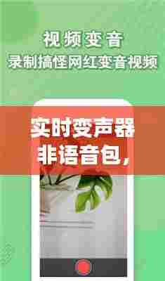 实时变声器非语音包，实时语音变声的变声器 