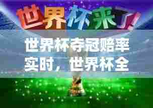 世界杯夺冠赔率实时，世界杯全胜夺冠 