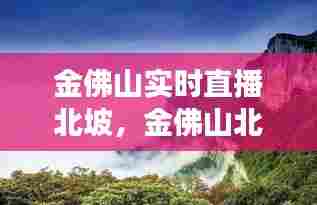 金佛山实时直播北坡，金佛山北坡游览攻略 