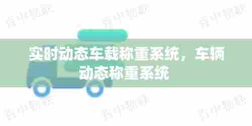 实时动态车载称重系统，车辆动态称重系统 
