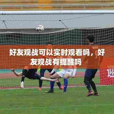 好友观战可以实时观看吗，好友观战有提醒吗 