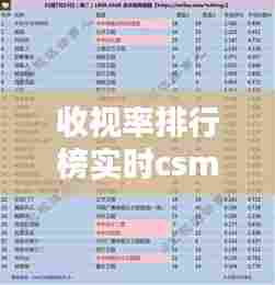 收视率排行榜实时csm下载，收视率网站 