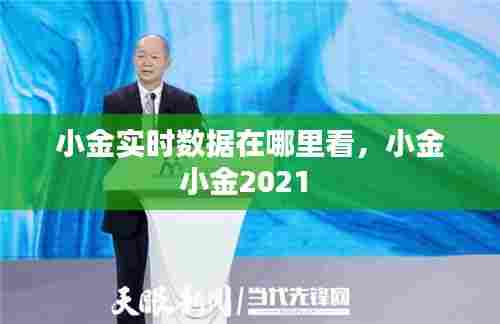 小金实时数据在哪里看，小金小金2021 