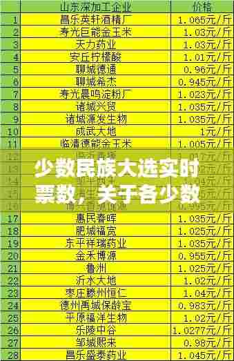 少数民族大选实时票数，关于各少数民族人大代表的选举 