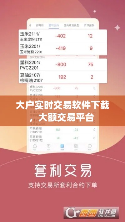 大户实时交易软件下载，大额交易平台 