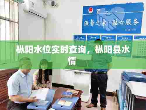 枞阳水位实时查询，枞阳县水情 