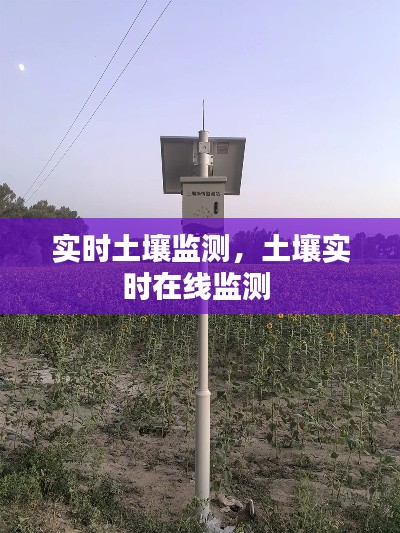 实时土壤监测，土壤实时在线监测 