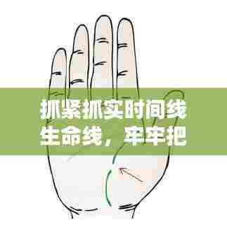 抓紧抓实时间线生命线，牢牢把握生命线 