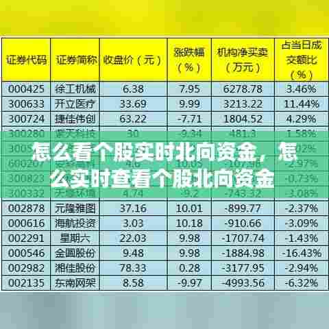 怎么看个股实时北向资金，怎么实时查看个股北向资金 