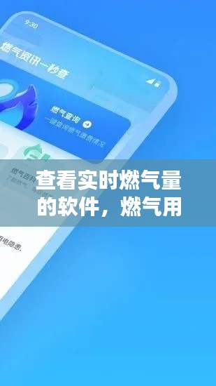 查看实时燃气量的软件，燃气用气量在哪查 