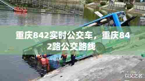 重庆842实时公交车，重庆842路公交路线 