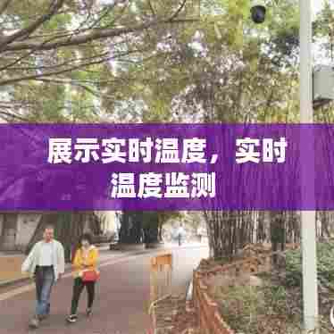 展示实时温度，实时温度监测 