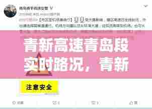 青新高速青岛段实时路况，青新高速青岛段实时路况查询 